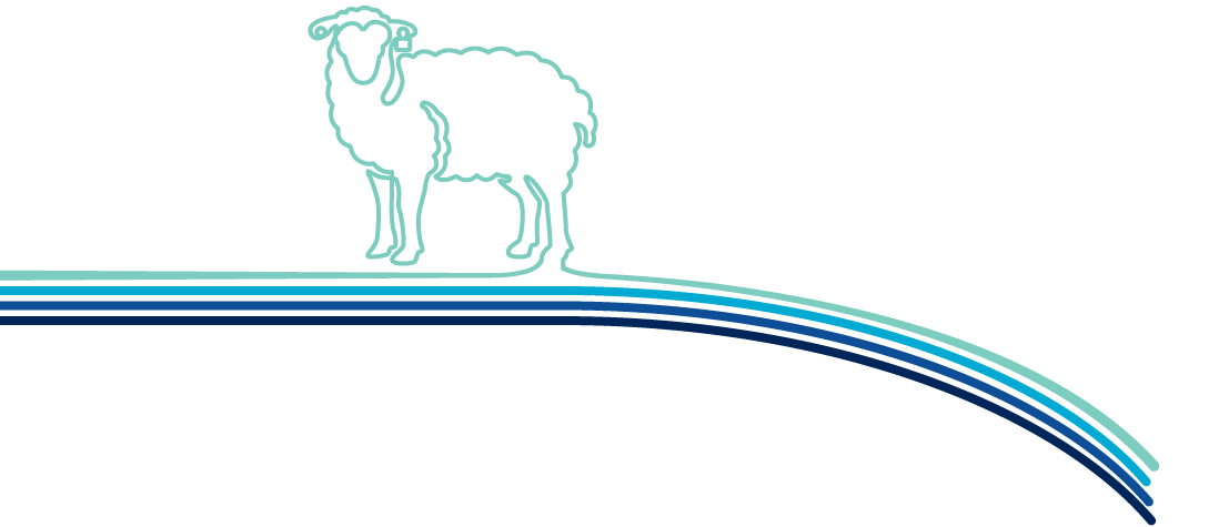 A sheep is standing on a hill. Description generated by AI