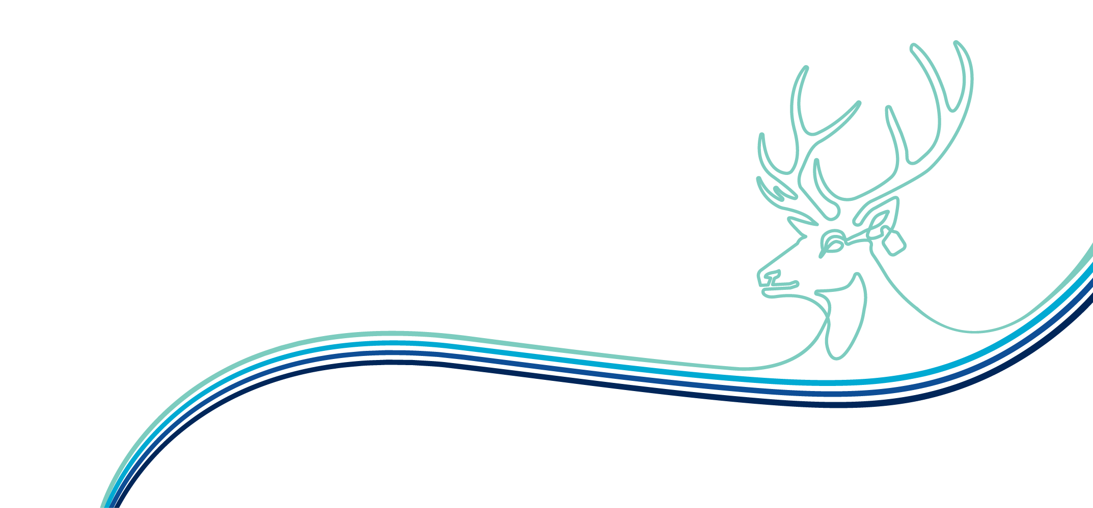 A deer with antlers on a white background. Description generated by AI