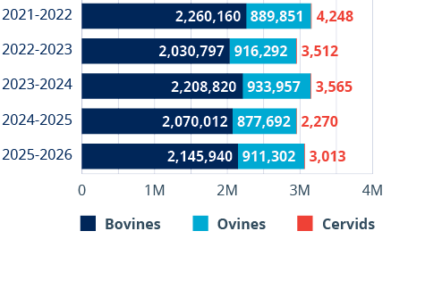 A graph showing the number of people in the US from 2012 to 2021. Description generated by AI